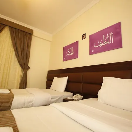 Guest Oasis-2
