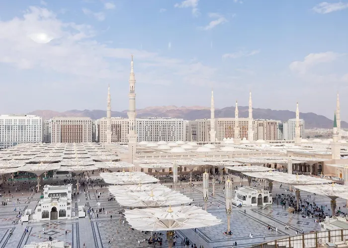 الشاكرين جولدن توليب
